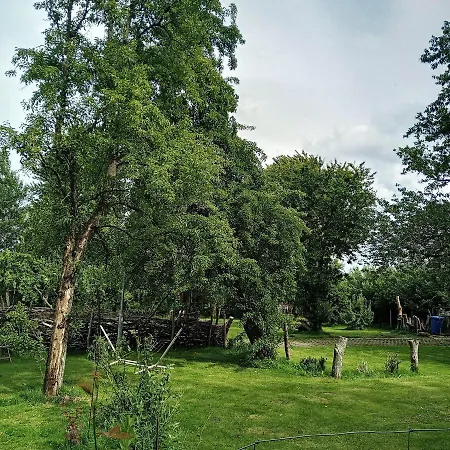 Ferienwohnung-im-karolinenkoog-erholung-zwischen-feld-und-deich شقة